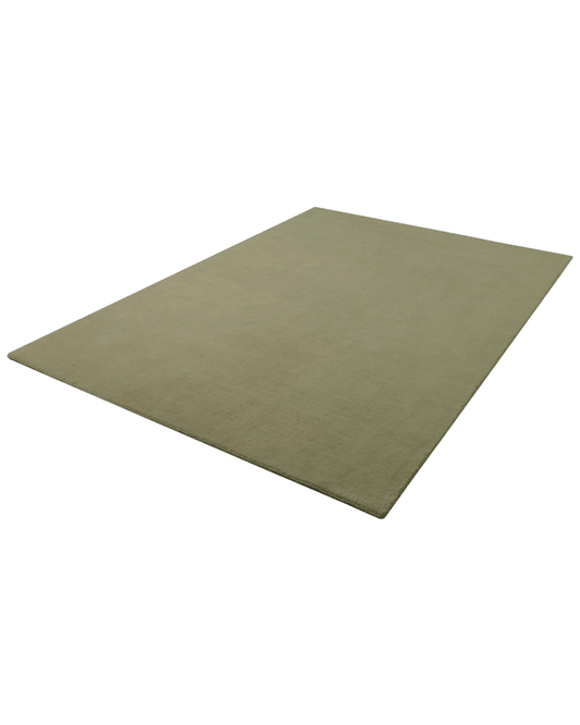 Solid Green Rug