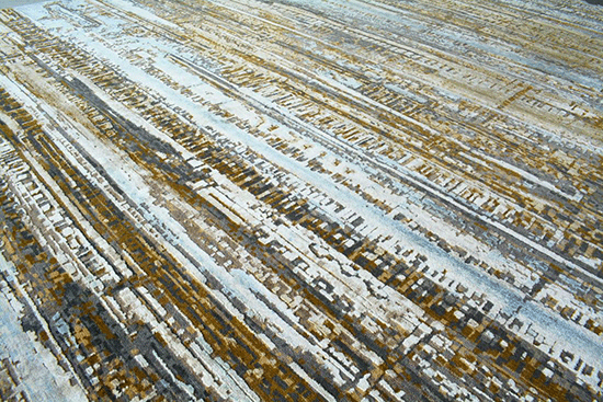 Dusted Archive Rug Version 2