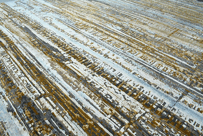 Dusted Archive Rug Version 2