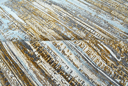 Dusted Archive Rug Version 2