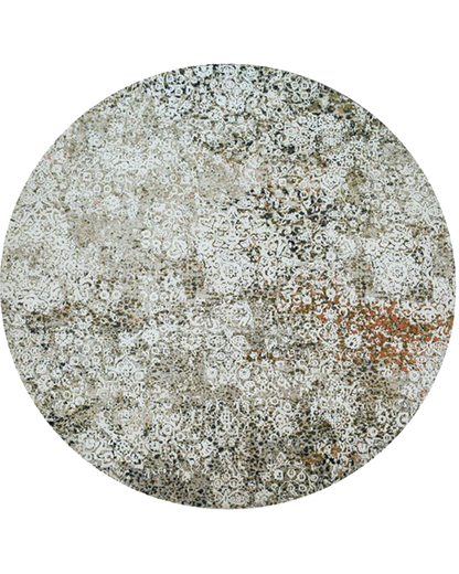 Beige Charm Rug