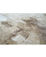 Desert Moon Rug
