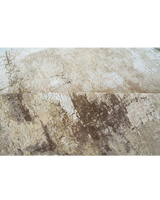 Desert Moon Rug