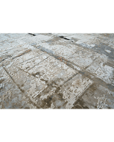 Multi Colored Distressed Rug