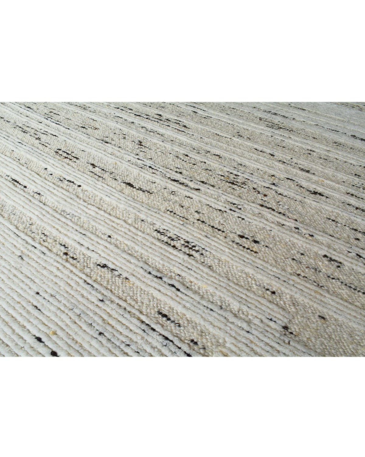 Moonlit Lines