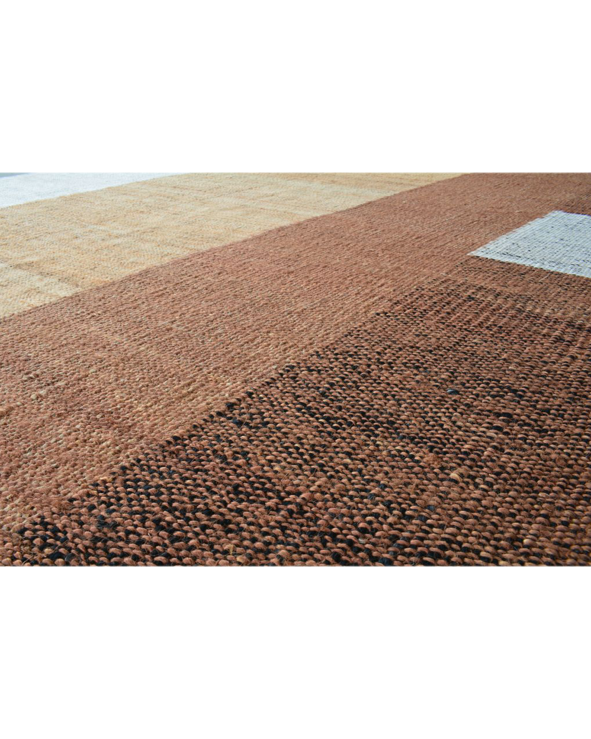 Liner Roger Rug