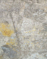 Tranquillitatis (Size: 8'X10')